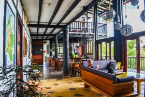 Coffee tree boutique hostel