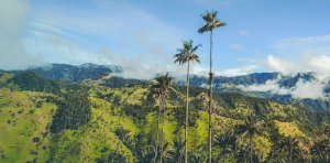 Valle de Cocora Hiken